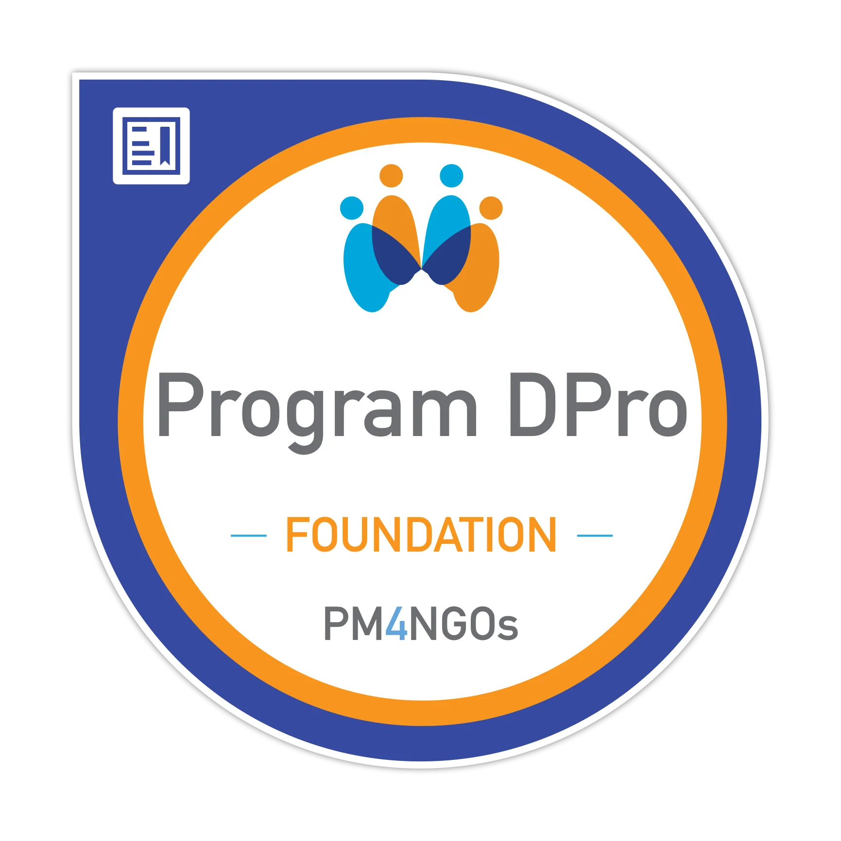 Program DPro PM4NGOs